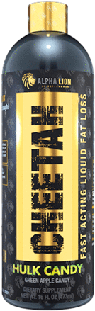 Cheetah - Lion (480x480), Png Download