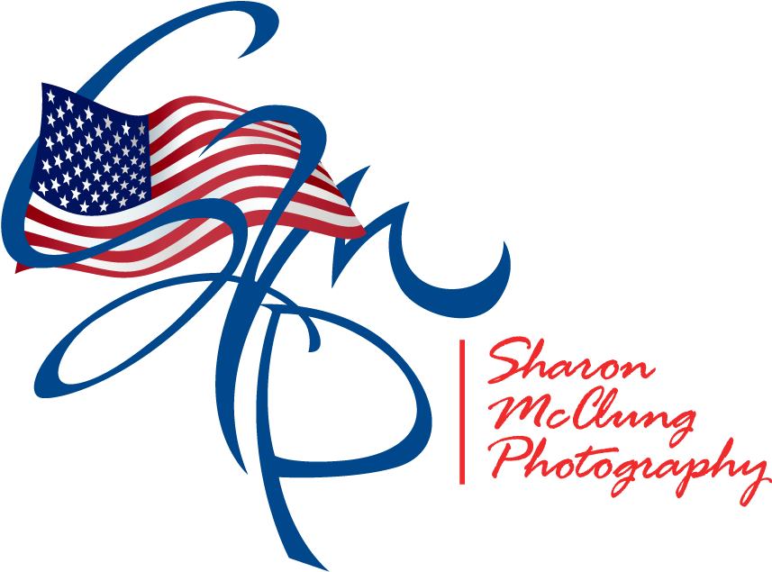 Happy Memorial Day - Introduction To Geography: People, Places, And Environment (900x709), Png Download