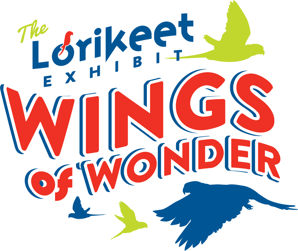 Ncg Lorikeet Cookieart - Nicholas Conservatory & Gardens (980x827), Png Download