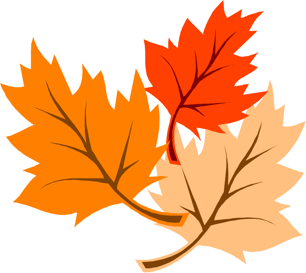 Fall Leaves - Fall (1024x912), Png Download