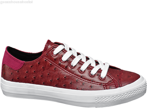 Classic Women Sports Shoes Vty Ladies Lace-up Canvas - Canvas (500x500), Png Download