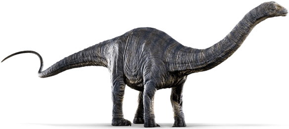 The Dinosaurs Of & - Jurassic World Brontosaurus (640x268), Png Download