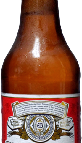Budweiser Clipart Budweiser Bottle - Budweiser (640x480), Png Download