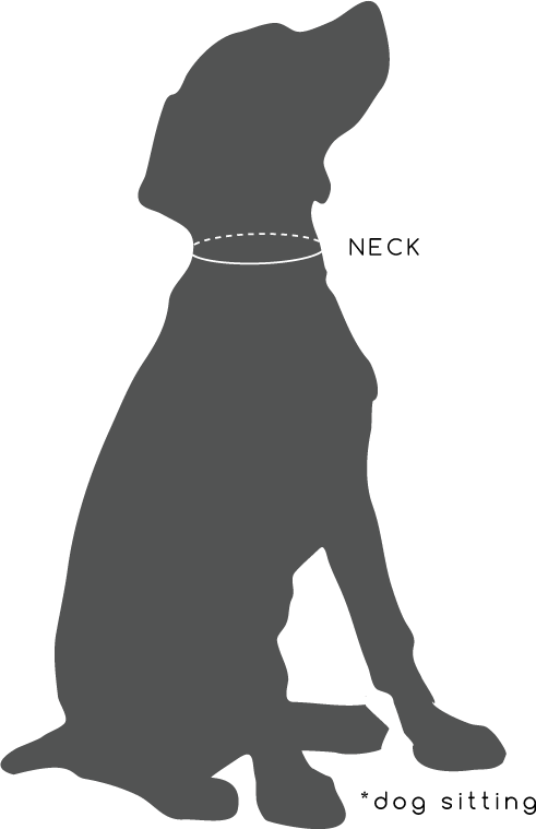 Sit - Stay - Measure - - Coonhound (491x759), Png Download