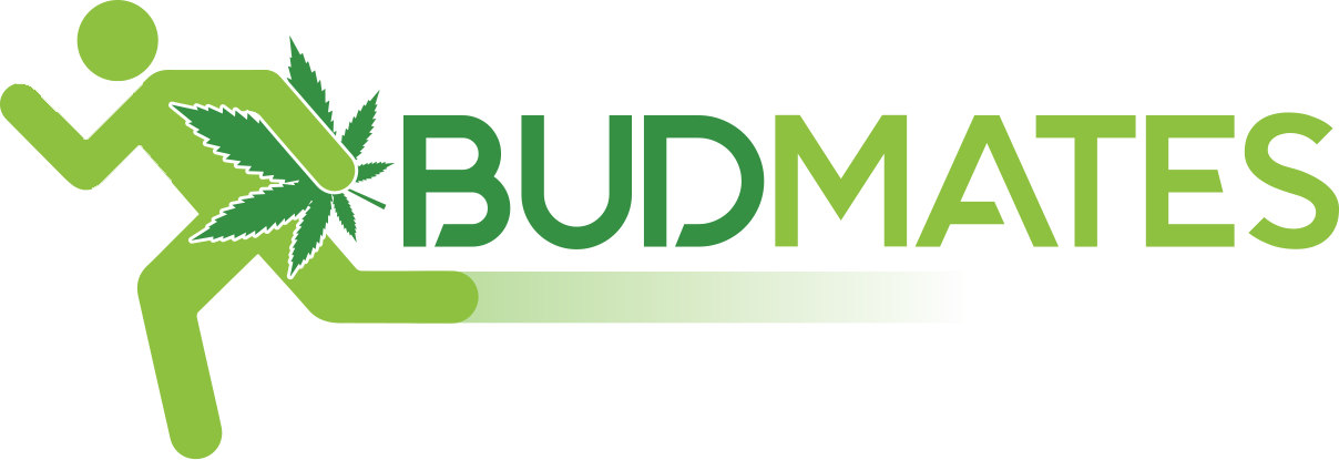 Budmates - Com - Copper Fit Logo Transparent (1208x415), Png Download