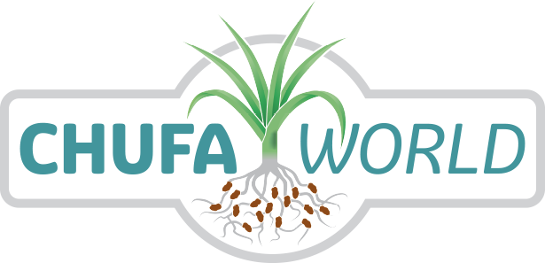 Tiger Nuts - Tiger Nuts Clipart (615x297), Png Download