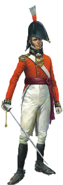 British Officer 23rd Reg - Napoleonic British Command, 1/72 By Hat, Model Figures (289x617), Png Download