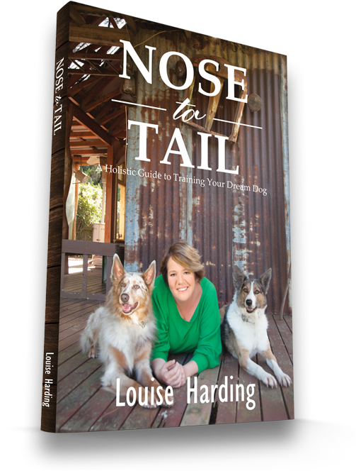 A Holistic Guide To Training Your Dream Dog - Dream Dog (901x672), Png Download