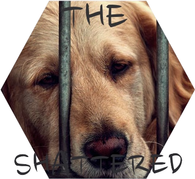 Dog Behind Bars - Golden Retriever Behind Bars (400x400), Png Download