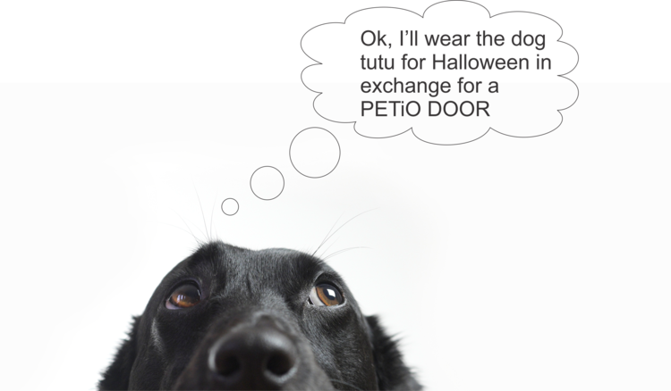 Door Sizes Smaller - Pardon The Farting... Pillow Case (750x438), Png Download