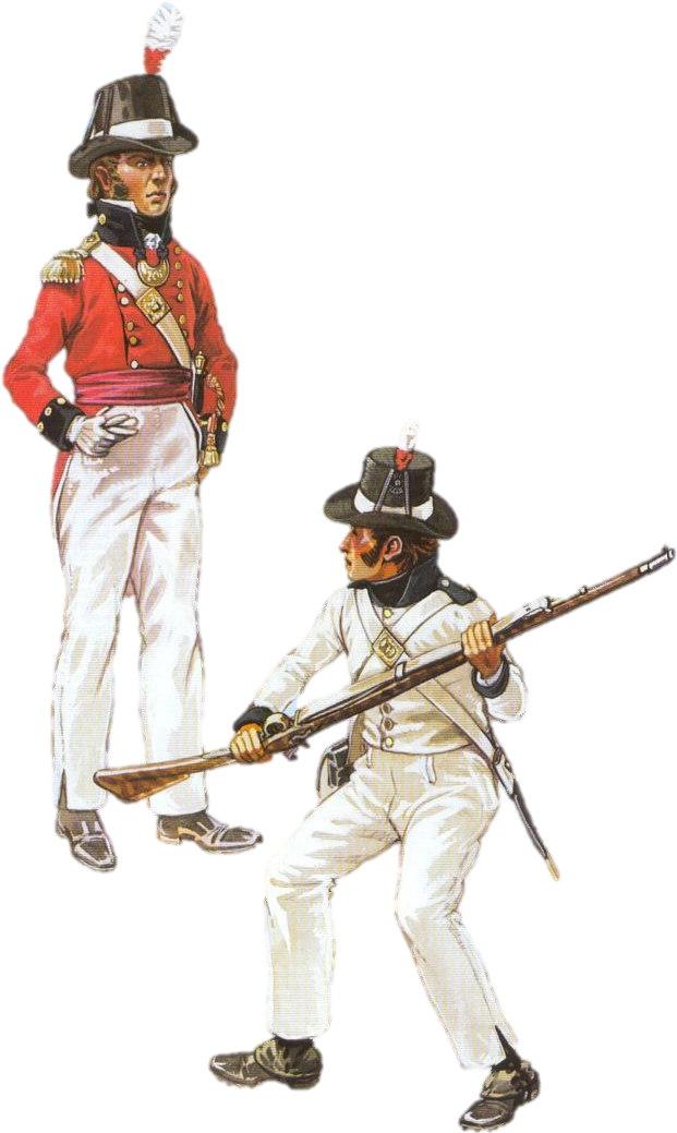 1 - Http - //i - Imgur - Com/m2v1j0e - Napoleonic Wars (736x1101), Png Download
