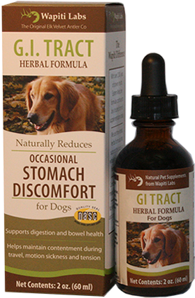 Gi Tract For Dogs - Wapiti Labs Inc Dog Gi Tract Formula (450x450), Png Download