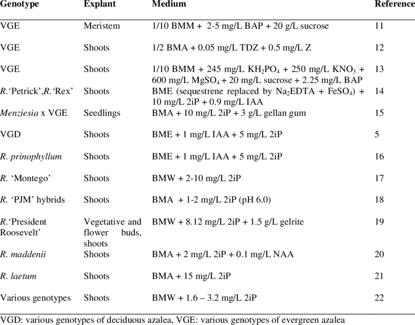 Protocols For In Vitro Multiplication Of Various Rhododendron - Multiplication (850x666), Png Download