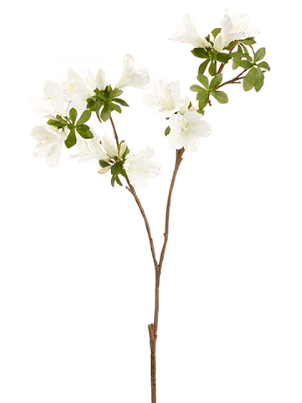 30" Rhododendron Spray White - 30" Handwrapped Silk Azalea Flower Spray -white (pack (800x800), Png Download