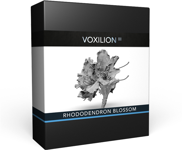 Rhododendron Blossom - 3d Printing (700x700), Png Download