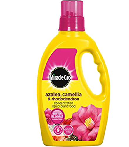 Miracle-gro® Azalea, Camellia & Rhododendron Soluble - Miracle-gro 1 Litre Azalea, Camellia And Rhododendron (498x498), Png Download