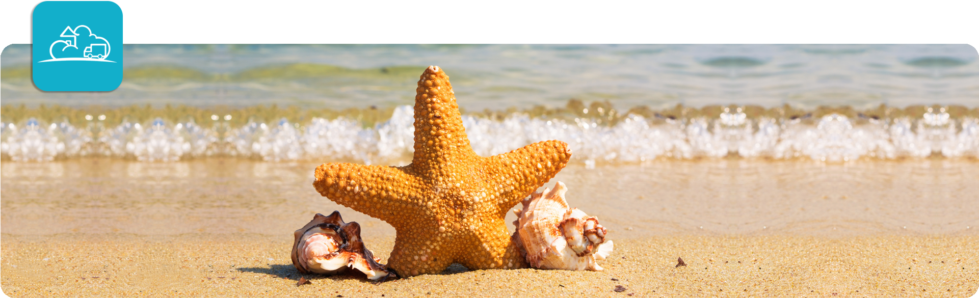 Summer Inventory - Animales Con Respiracion Cutanea (1920x592), Png Download