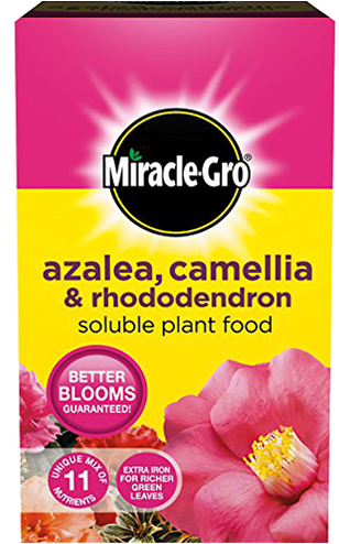 Miracle-gro® Azalea, Camellia & Rhododendron Soluble - Miracle Gro All Purpose Soluble Plant Food (498x498), Png Download