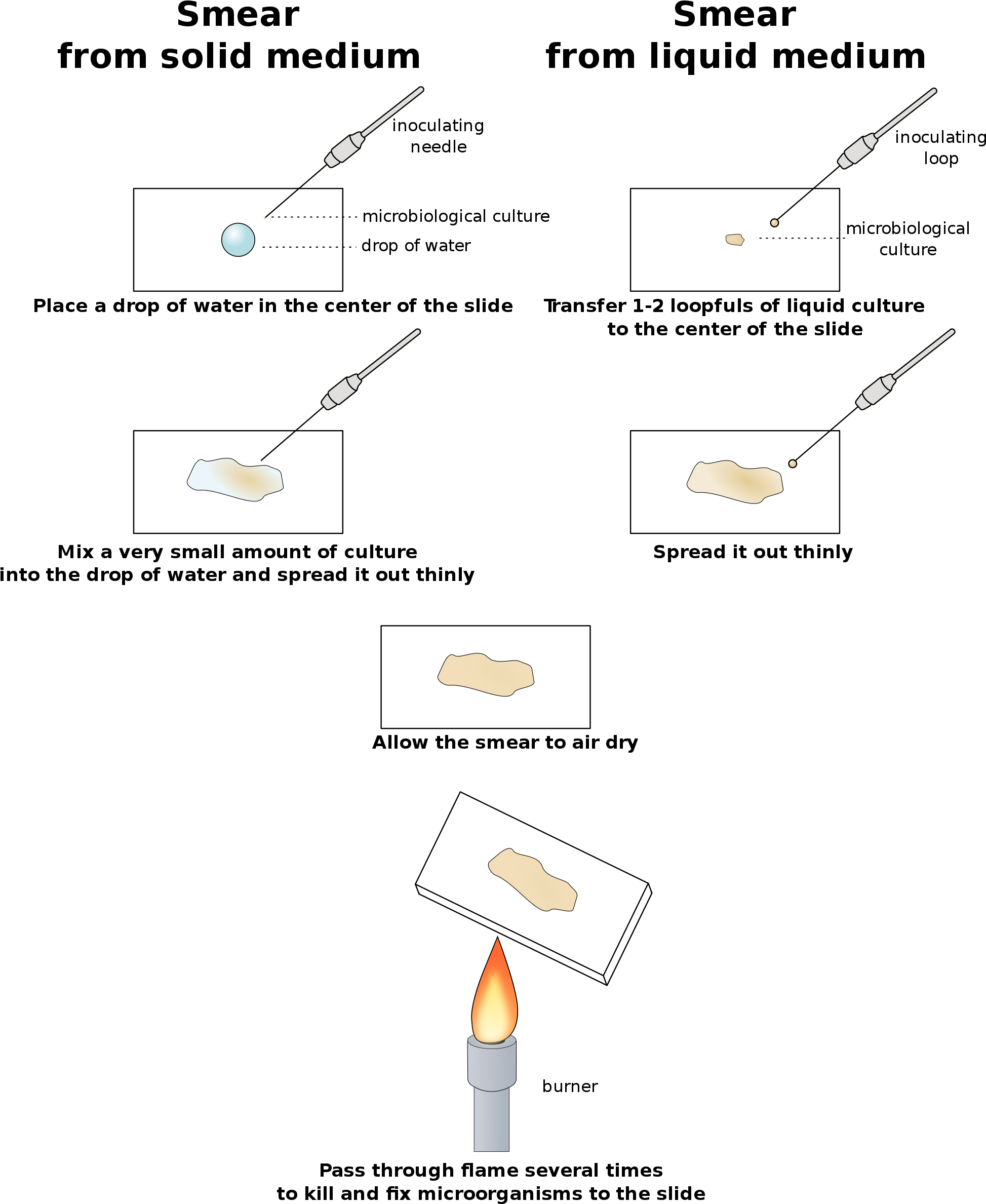 Open - Preparat W Kropli Wiszącej (2000x2493), Png Download