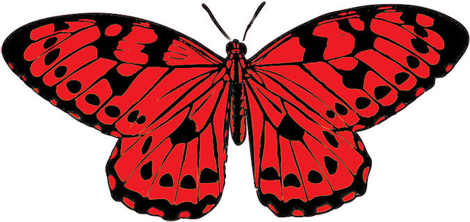 Indigo Clipart Butterfly Wing - Red And Black Butterfly Clipart (709x469), Png Download