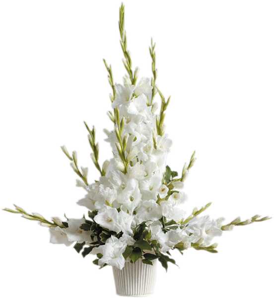 Radiant Gladiolus Arrangement - Gladioli Funeral Flower Arrangements (600x600), Png Download