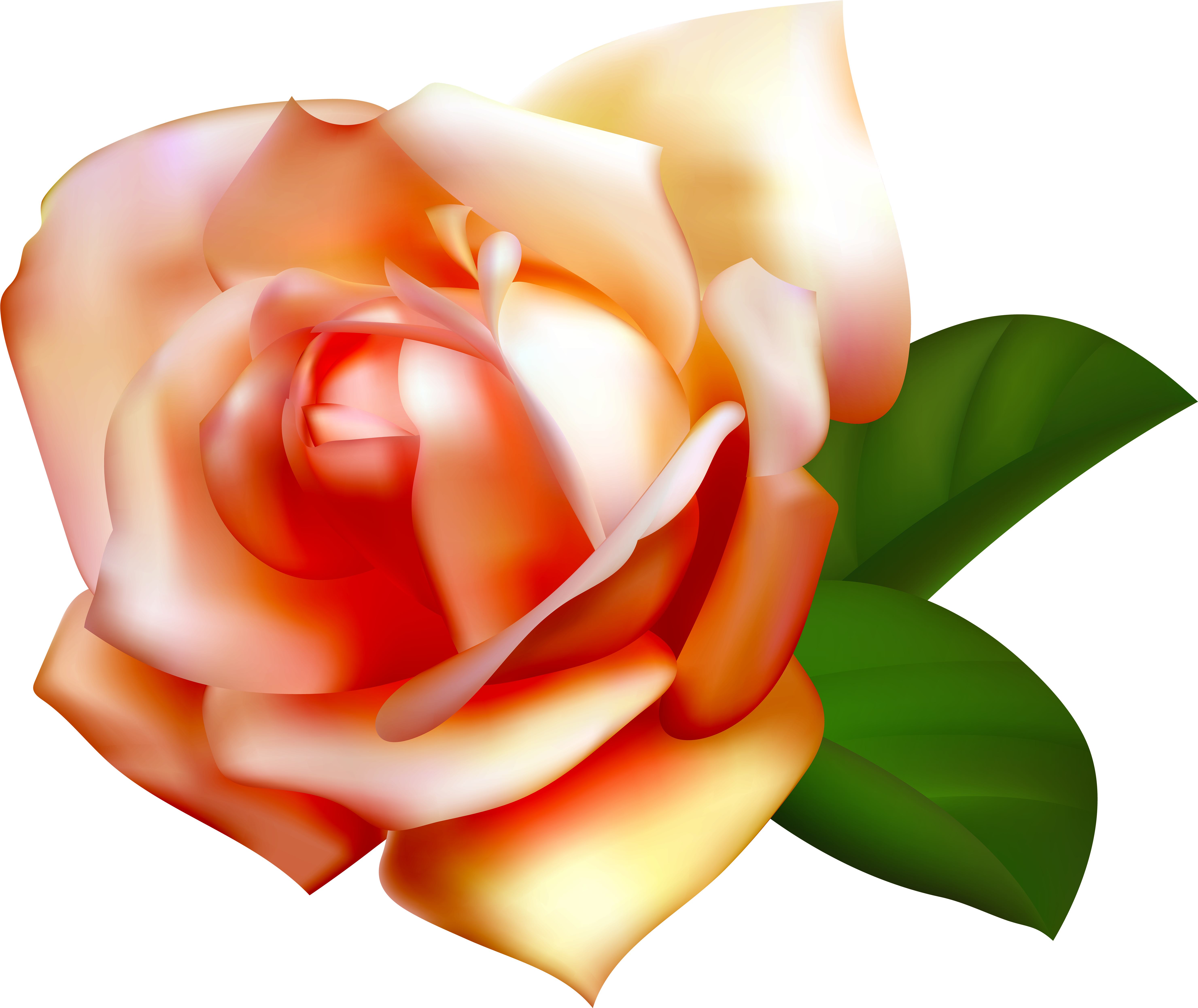 Beautiful Rose - Rose (6000x5048), Png Download