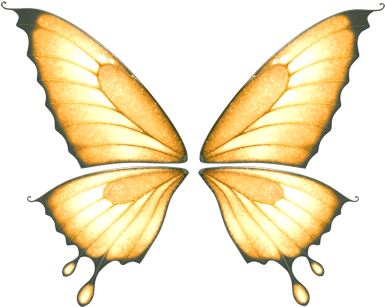 Tubes Ailes Butterfly Design, Butterfly Wings, Card - Blonde Prinzessin Postcard Postkarte (400x331), Png Download