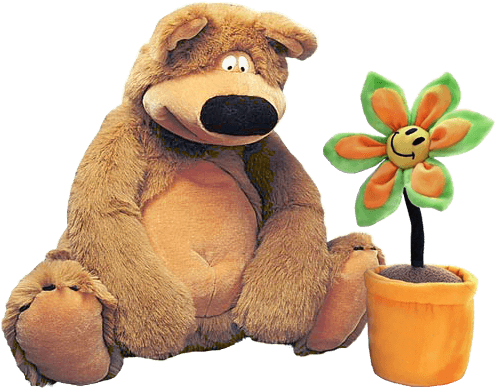 Buy Bouquet From Gladiolus With Delivery To Novosibirsk - Saint Petersburg (500x400), Png Download