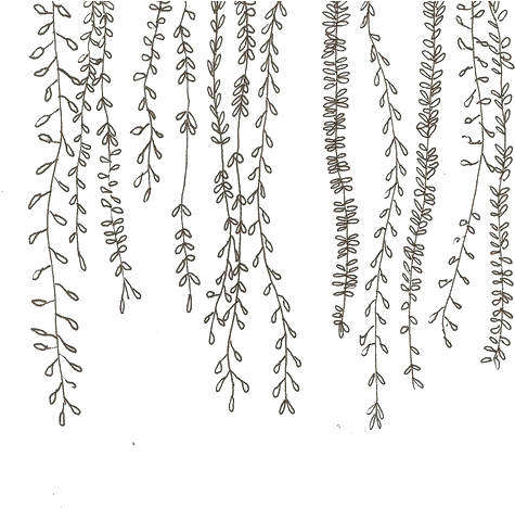 Evan Peters Boardwalks - Fond D Écran Fleurs (500x616), Png Download