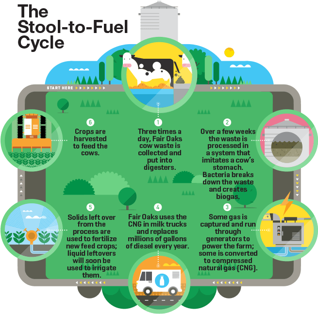 “my Dream And Sue's Dream And People Look At Me Like - Fair Oaks Farm Anaerobic Digester (780x780), Png Download