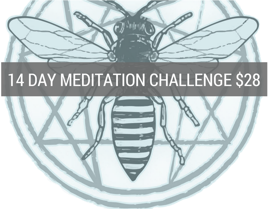 14 Day Xx - Mosquito (1000x675), Png Download