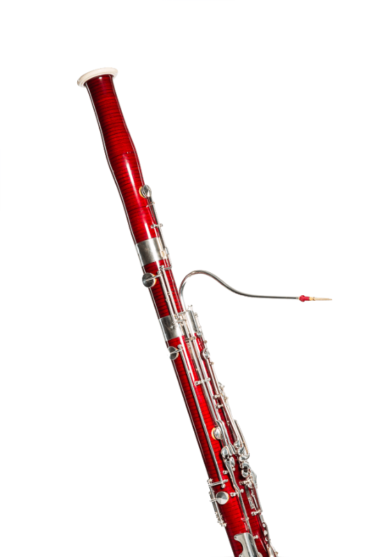 Extraordinary Passion Means - Bassoon (533x800), Png Download