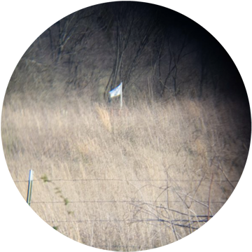 Agents Quickly Identified The Landowner Through Property - Plank (360x378), Png Download