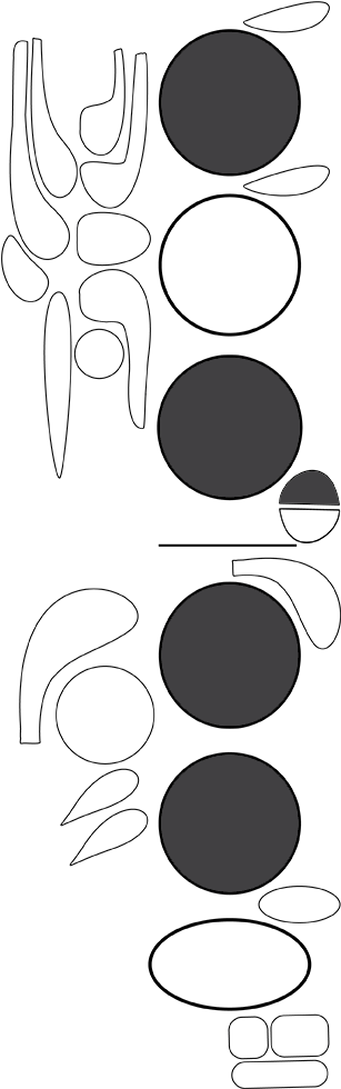 Instruments > Woodwind > Bassoon - Circle (324x1066), Png Download