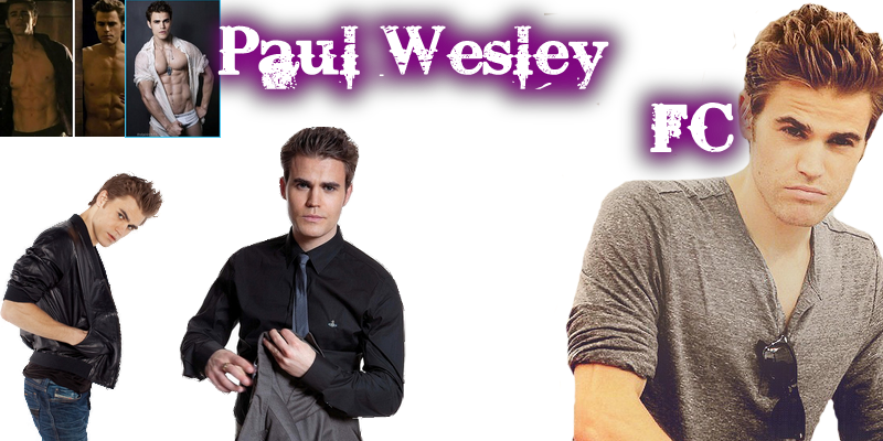 Paul Wesley (800x400), Png Download