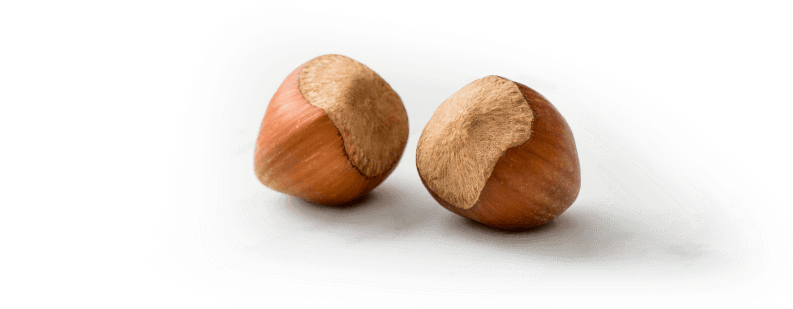When It Comes To Health, Hazelnuts Stand Out - Mexican Pinyon (863x400), Png Download