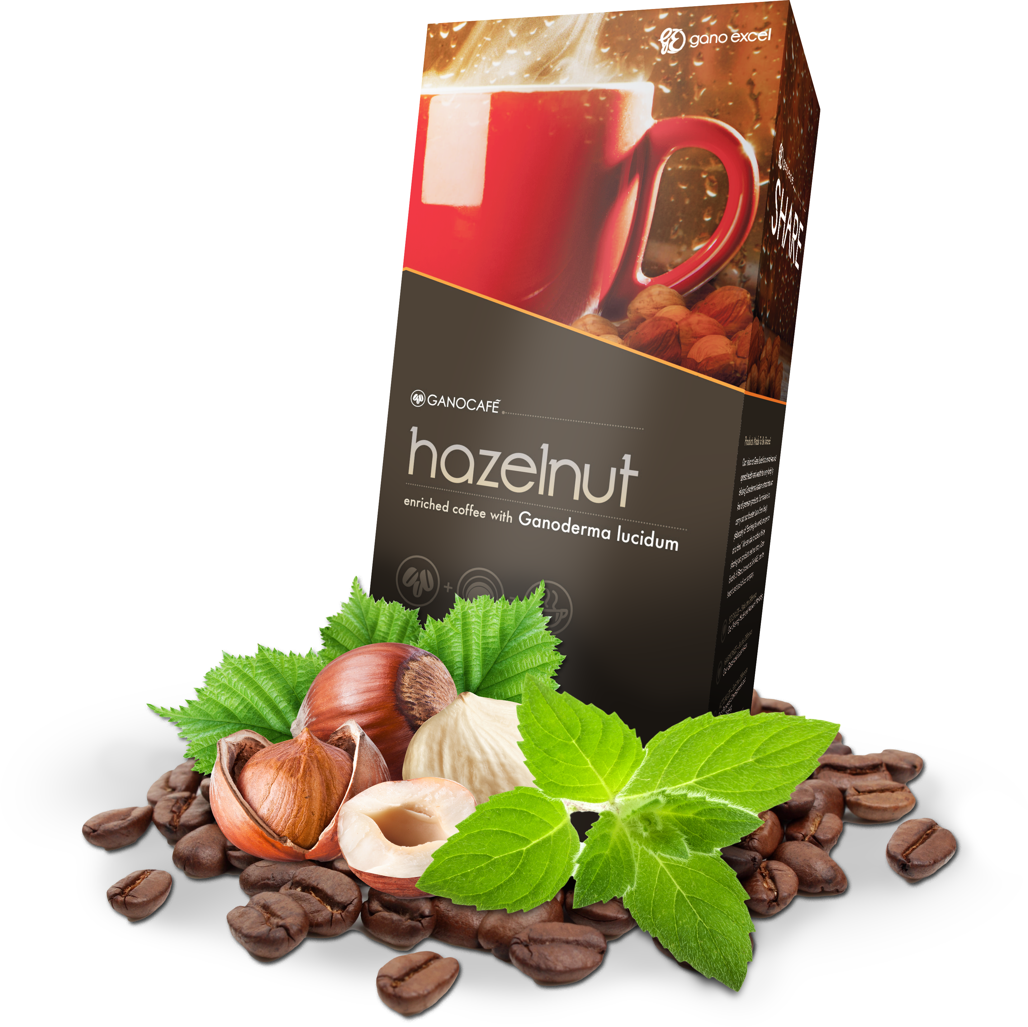 Hazelnut (3301x3296), Png Download