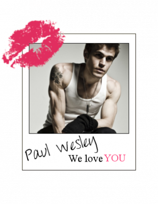 Paul Wesley ○ - Damian And Stefan Salvatore (310x399), Png Download