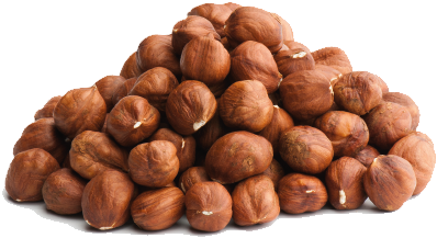 Raw Hazelnut Kernels - Hazelnut (476x324), Png Download