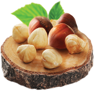 Hazelnuts - Hazelnut (400x400), Png Download