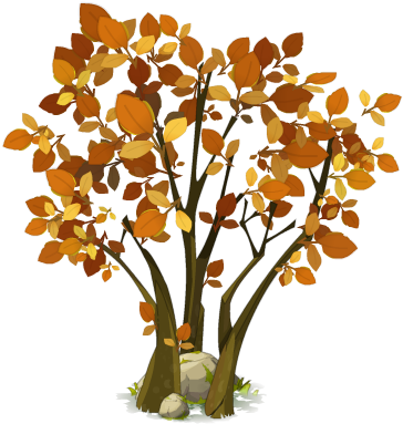 Hazel - Hazelnut Tree Clipart (365x393), Png Download