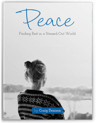 Craig Denison Shares About His Own Battle With Stress - Protected By The Shadows (600x649), Png Download