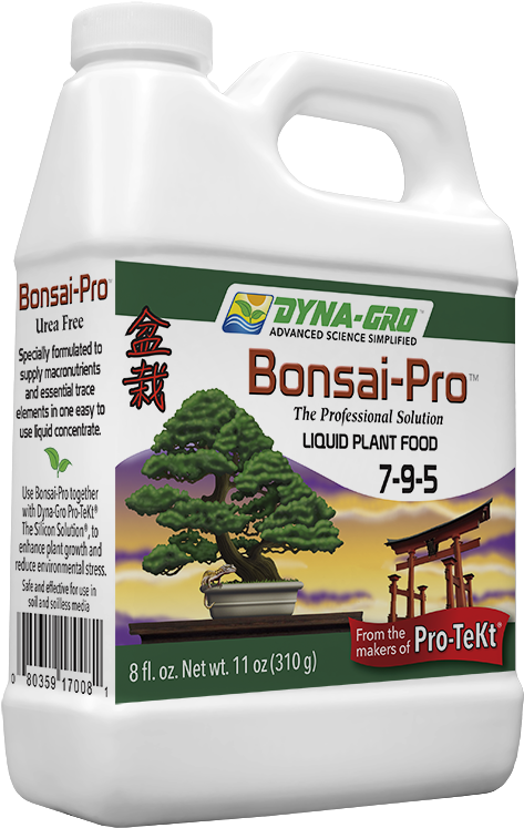Bonsai Pro™ 7 9 - Christmas Tree (500x756), Png Download
