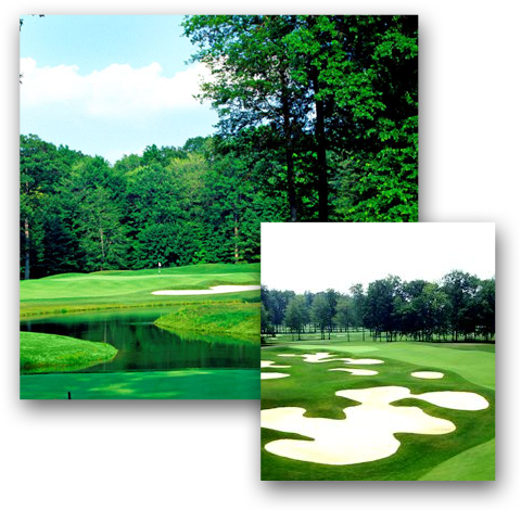 Avalon Lakes Golf Course Pictures - Golf (493x478), Png Download