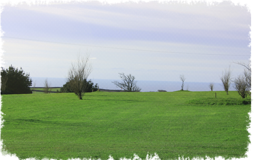 Explore Our Golf Course - Ivyleaf Paintball (528x359), Png Download