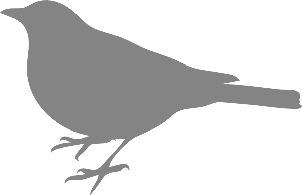 How To Set Use Grey Bird Clipart - Outline Of A Small Bird (600x387), Png Download