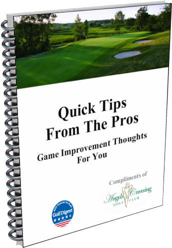 Grass (500x554), Png Download