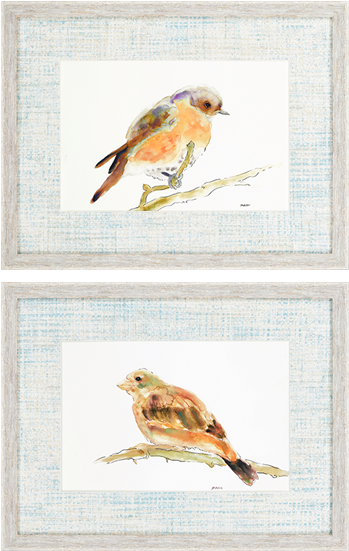 Birds Pk/2 - Bird (550x550), Png Download