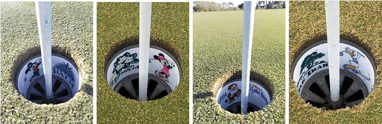 Grass (770x490), Png Download