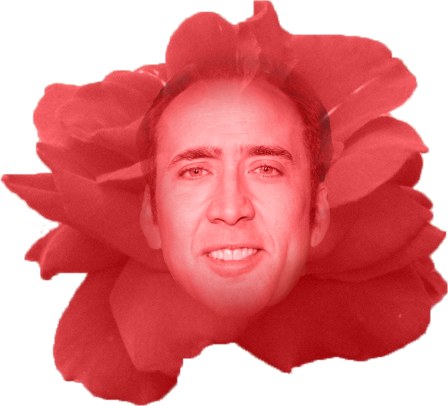 Nick Of Time - Nicolas Cage (630x570), Png Download